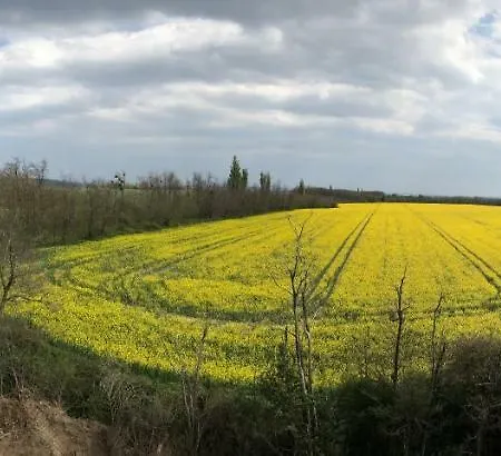 Balatonview - Myriam Villa Nemesbükk