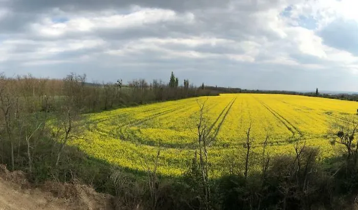 Balatonview - Myriam Villa Nemesbükk
